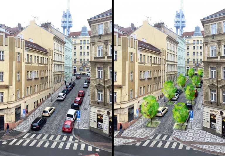 Více Zelených na radnici – více stromů v ulicích