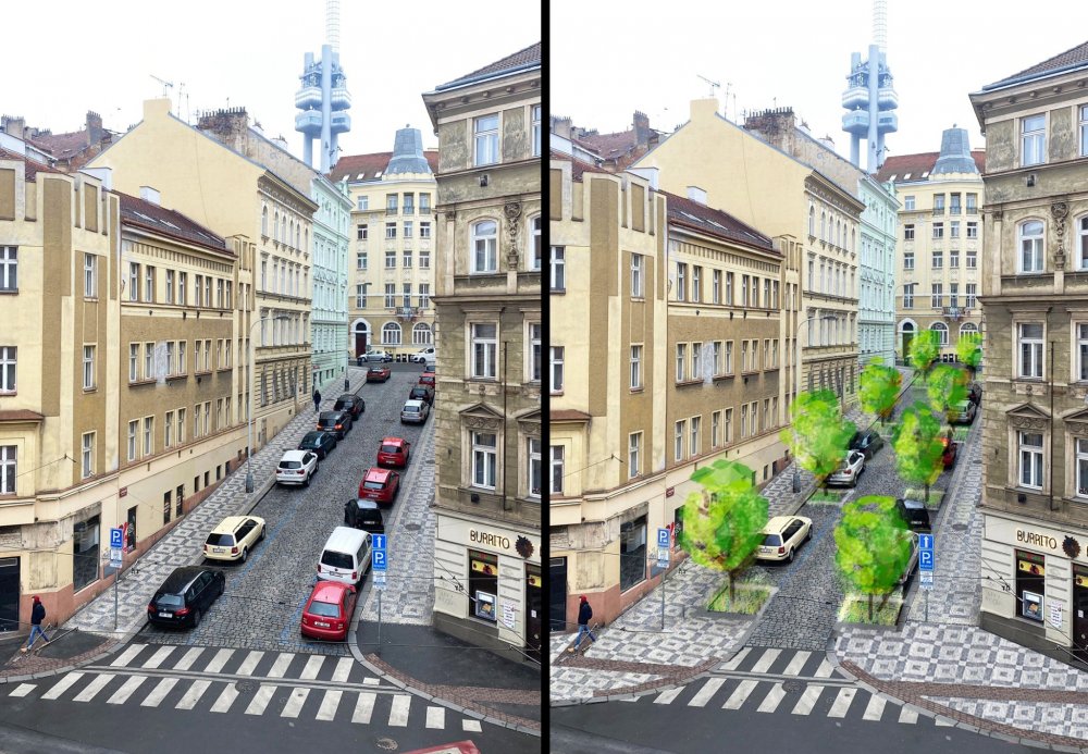 Více Zelených na radnici – více stromů v ulicích
